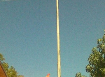 066