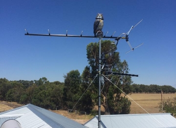 12644853_950603935033602_2100349892961391551_n